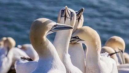 平湖2026年最新北京商务伴游经纪招聘渠道分享(最方便真实的平湖北京爱特博旅运服务有限责任公司招聘方法)