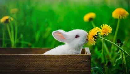 平湖2026年最新杭州高端商务伴游招聘网渠道分享(最方便真实的平湖茉莉伴游伴游天下全国联盟方法)